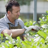 Encuentro para 'guapear' Extremadura