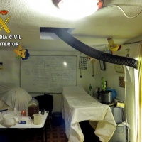 Desmantelado un laboratorio clandestino de marihuana en Jerte