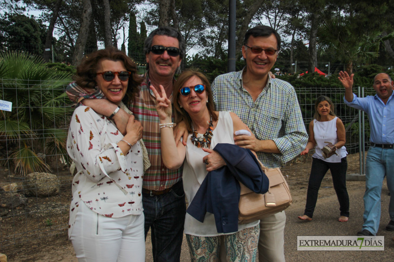 Imágenes de la Alcazaba en la Fiesta de los Palomos 2016