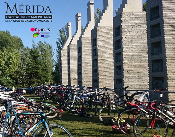 Fin de semana cargado de actividades deportivas en Mérida