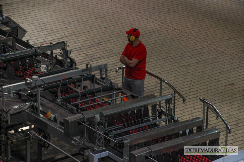 Coca Cola muestra sus nuevas instalaciones a la prensa y radio extremeñas