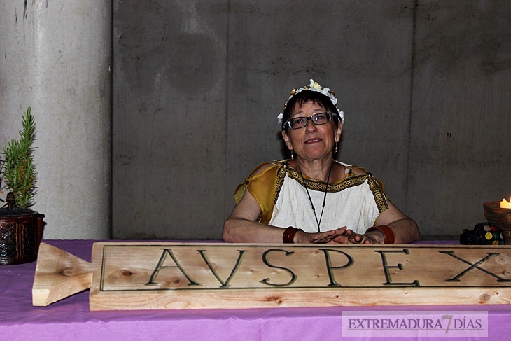 Cientos de personas disfrutan de la VII edición de Emérita Lúdica