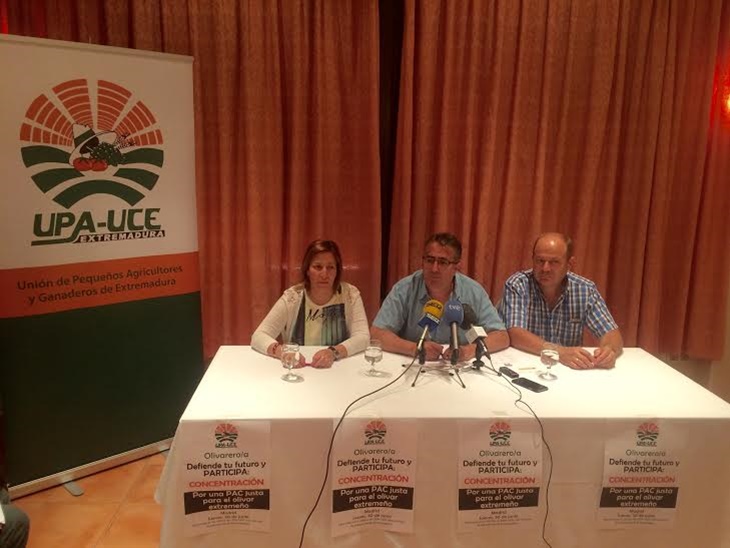 El sector del olivar extremeño se manifestará en Madrid