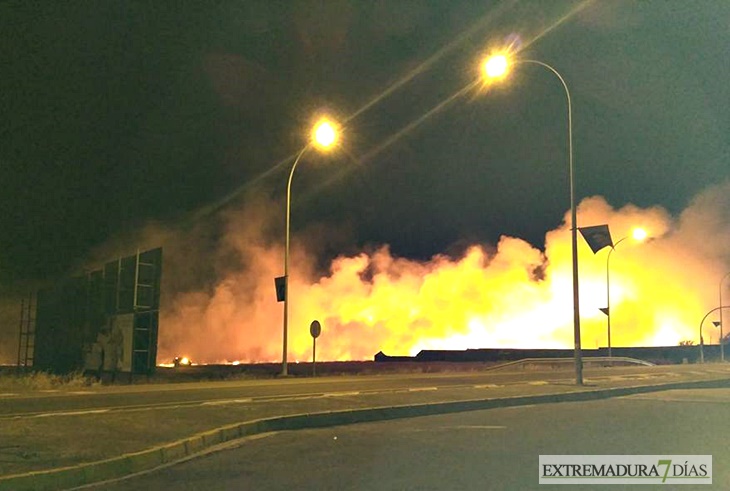 Incendio de grandes dimensiones amenaza viviendas de Mérida