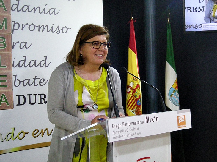 C’s pide a la Junta que “forme” a los alcaldes en materia de Protección Civil