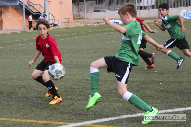 Primer día de Mundialito en imágenes