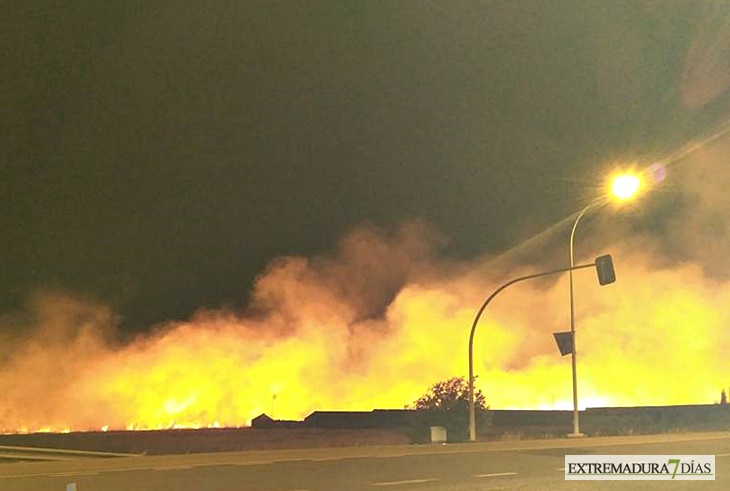 Incendio de grandes dimensiones amenaza viviendas de Mérida