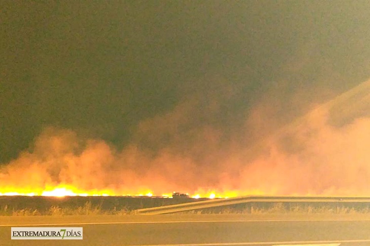 Incendio de grandes dimensiones amenaza viviendas de Mérida