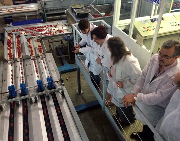 La consejera comienza una ronda de visitas al sector frutícola