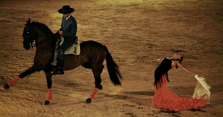 Almendralejo acogerá un espectáculo de ecuestre con flamenco