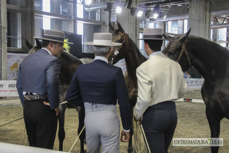 Ambiente en la Feria del Toro y el Caballo