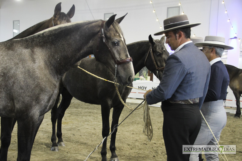 Ambiente en la Feria del Toro y el Caballo