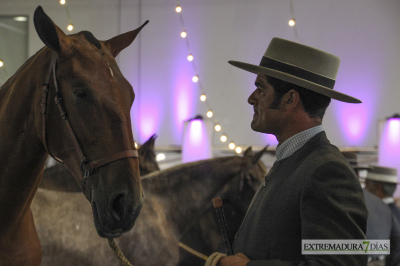 Ambiente en la Feria del Toro y el Caballo