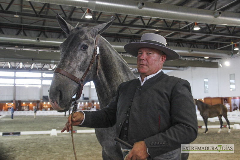 Ambiente en la Feria del Toro y el Caballo