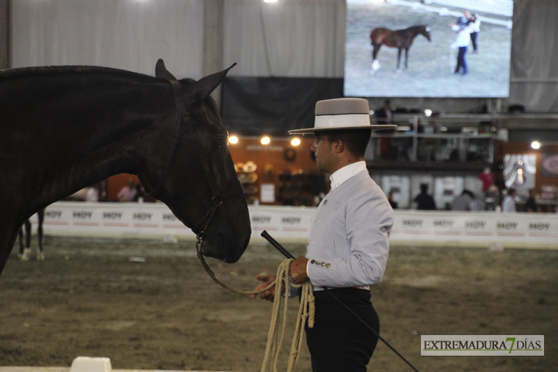 Ambiente en la Feria del Toro y el Caballo