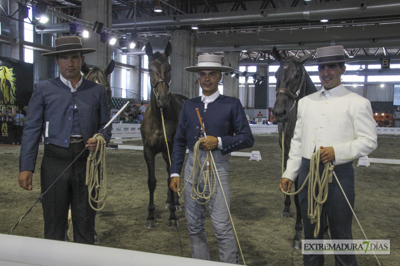 Ambiente en la Feria del Toro y el Caballo