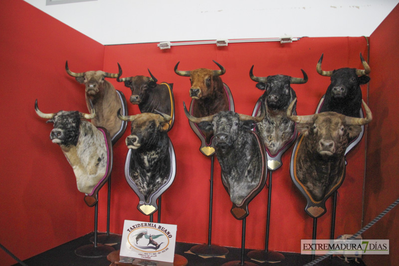 Ambiente en la Feria del Toro y el Caballo