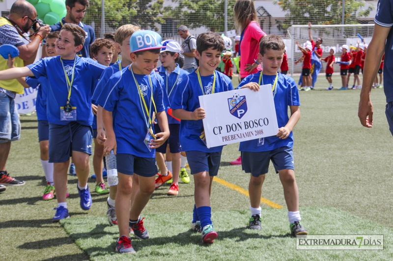 ¿Ha participado tu hijo/a en el Mundialito? encuéntral@ en nuestra galería