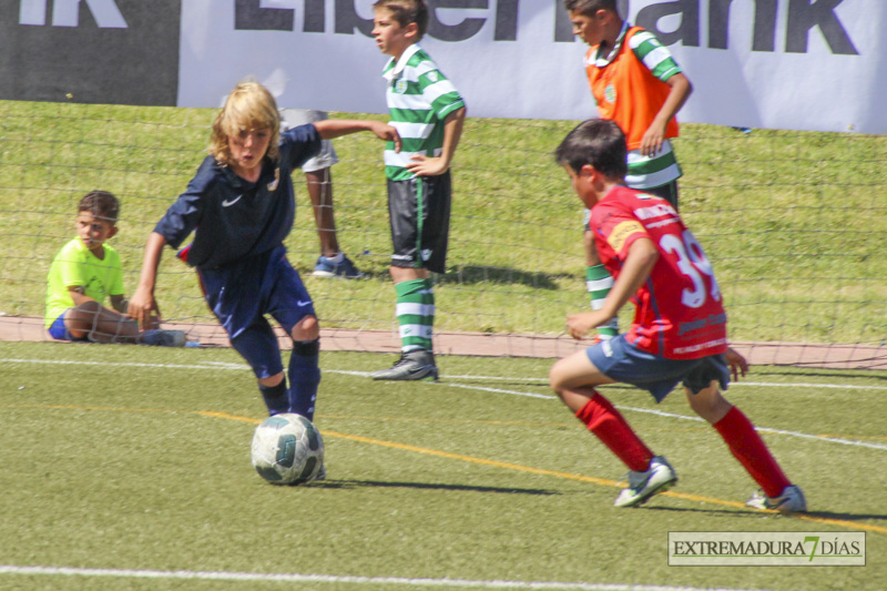 Imágenes de las finales y la entrega de trofeos del Mundialito