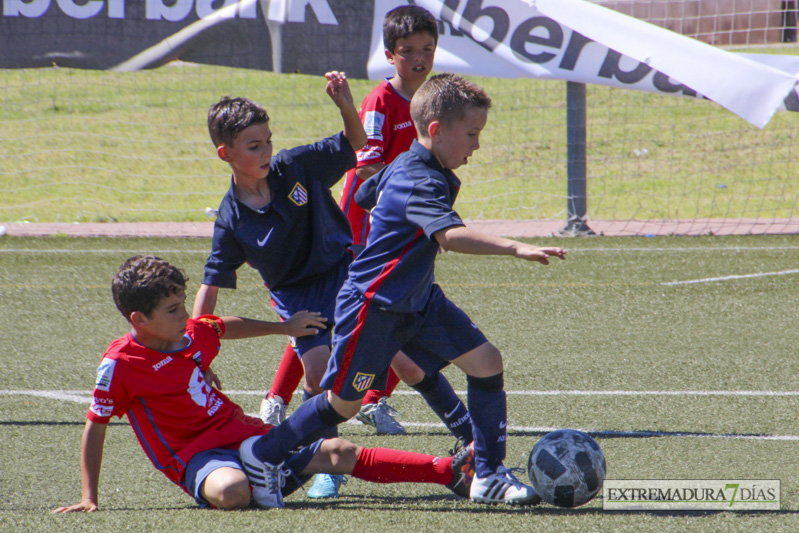 Imágenes de las finales y la entrega de trofeos del Mundialito