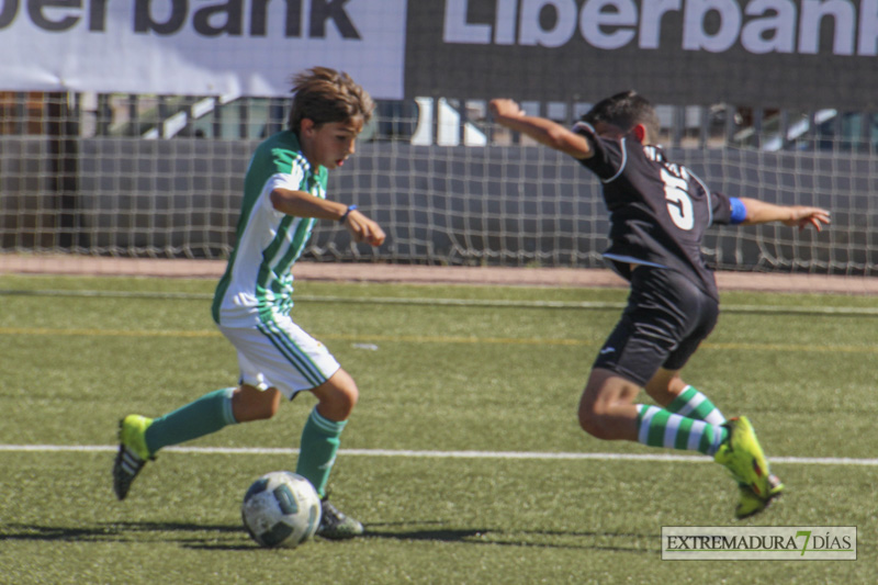 Imágenes de las finales y la entrega de trofeos del Mundialito