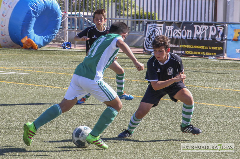 Imágenes de las finales y la entrega de trofeos del Mundialito