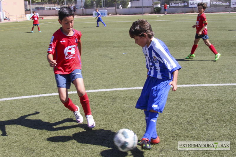 Imágenes de las finales y la entrega de trofeos del Mundialito