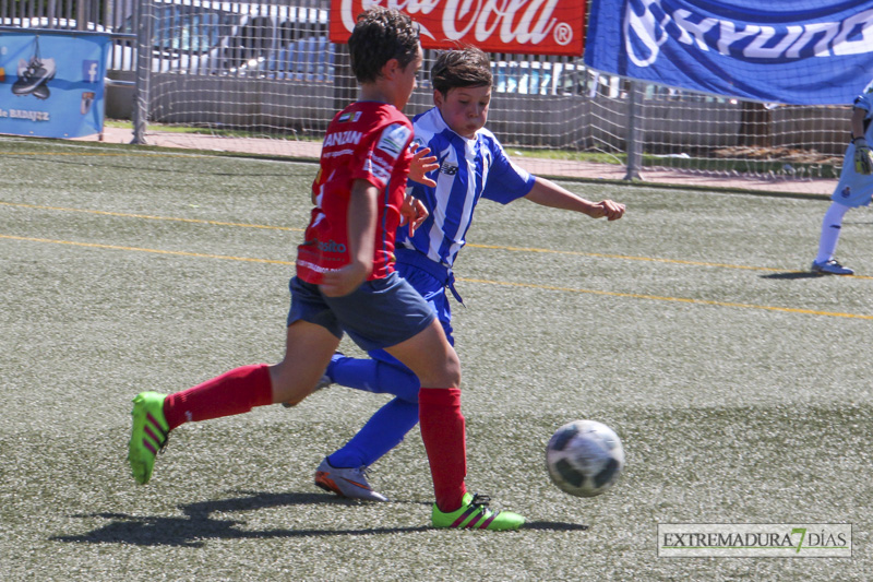 Imágenes de las finales y la entrega de trofeos del Mundialito