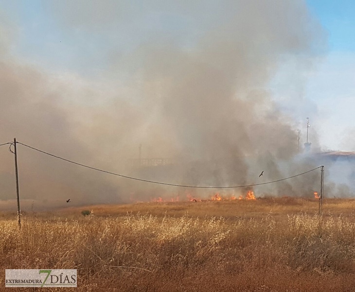 Un incendio calcina a estas horas el Cerro del Viento en Badajoz