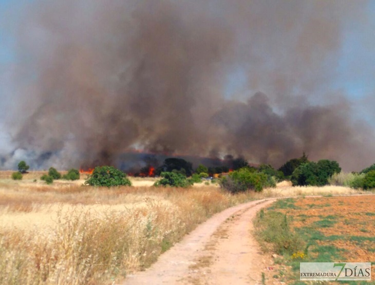 Un incendio calcina a estas horas el Cerro del Viento en Badajoz