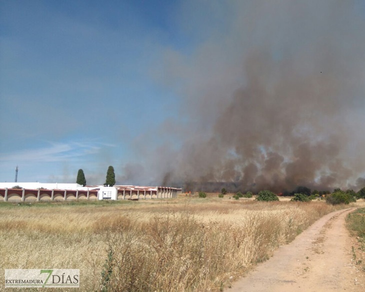 Un incendio calcina a estas horas el Cerro del Viento en Badajoz