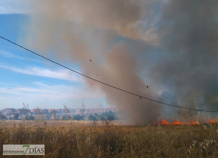 Un incendio calcina a estas horas el Cerro del Viento en Badajoz