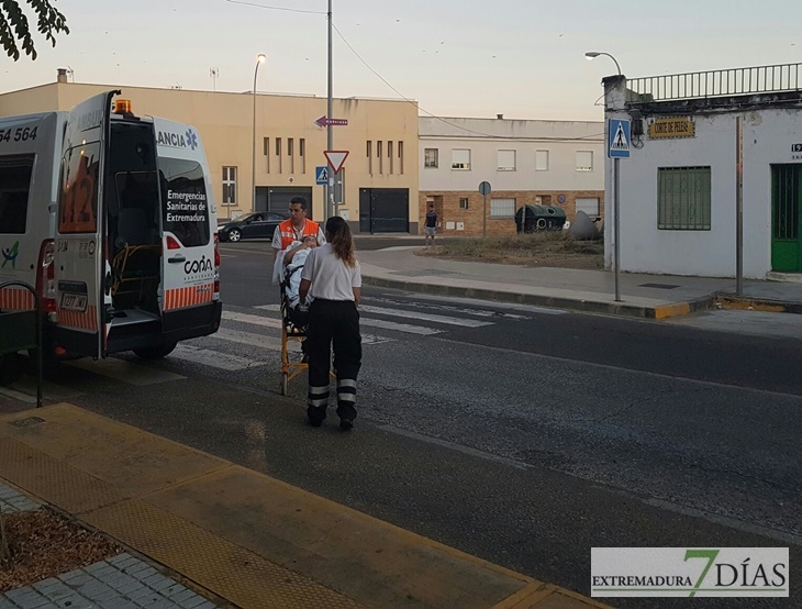 Nuevo atropello en un punto negro de la Carretera de la Corte