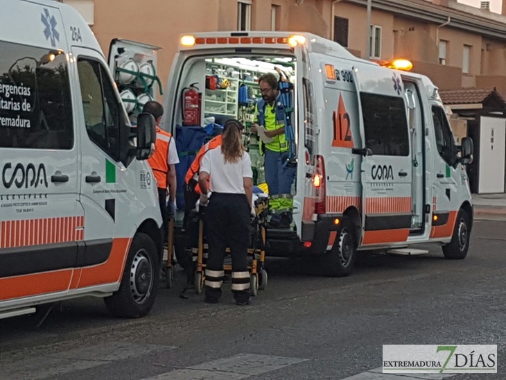 Nuevo atropello en un punto negro de la Carretera de la Corte