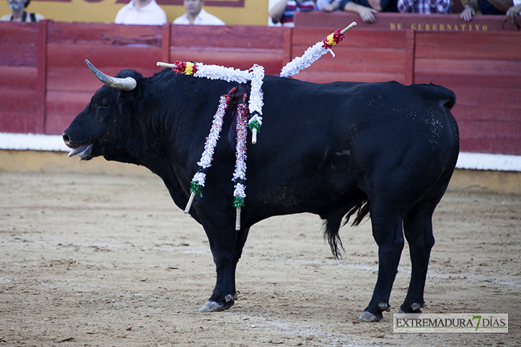 Imágenes de la corrida de &#39;El Juli&#39;, Morante y Roca Rey en Badajoz