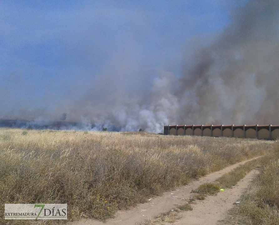Un incendio calcina a estas horas el Cerro del Viento en Badajoz