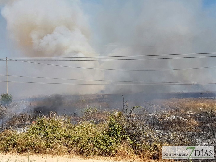 Un incendio se aproxima a la gasolinera de la Carretera de Olivenza