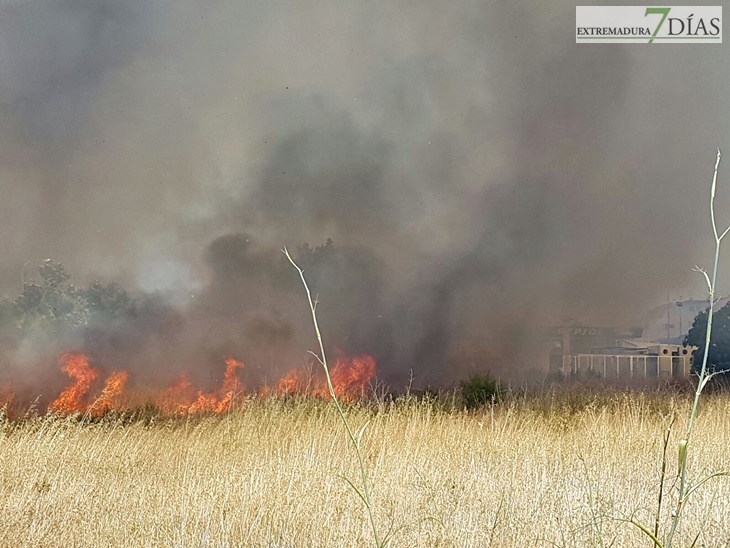 Un incendio se aproxima a la gasolinera de la Carretera de Olivenza