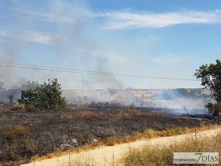 Un incendio se aproxima a la gasolinera de la Carretera de Olivenza