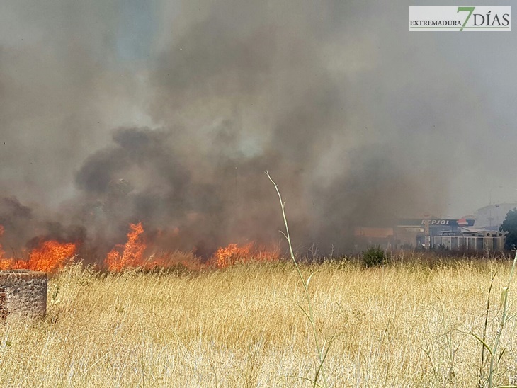 Un incendio se aproxima a la gasolinera de la Carretera de Olivenza
