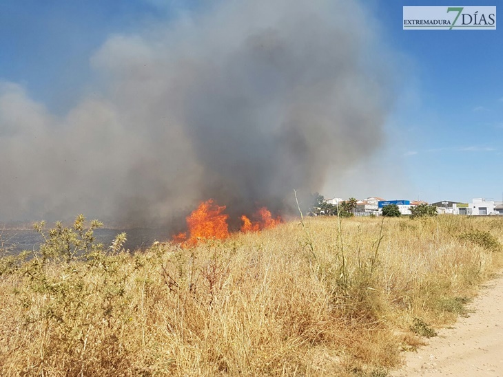 Un incendio se aproxima a la gasolinera de la Carretera de Olivenza