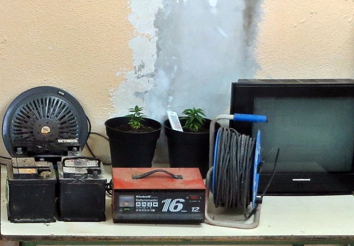 Descubren un invernadero de 'maría' en la investigación de varios robos