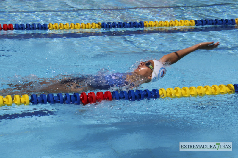 Imágenes del meeting de Natación Ciudad de Badajoz