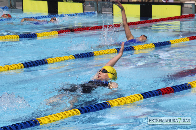 Imágenes del meeting de Natación Ciudad de Badajoz