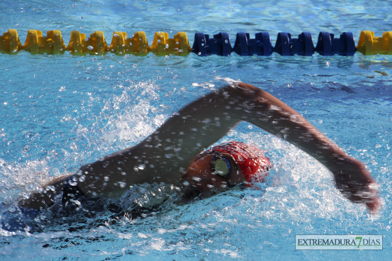 Imágenes del meeting de Natación Ciudad de Badajoz II
