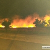Incendio de grandes dimensiones amenaza viviendas de Mérida