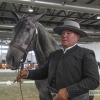 Ambiente en la Feria del Toro y el Caballo