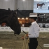 Ambiente en la Feria del Toro y el Caballo