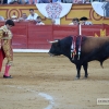 Galería de fotos de la segunda de feria taurina San Juan 2016