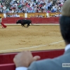 Galería de fotos de la segunda de feria taurina San Juan 2016